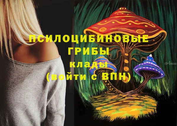 МДПВ Володарск