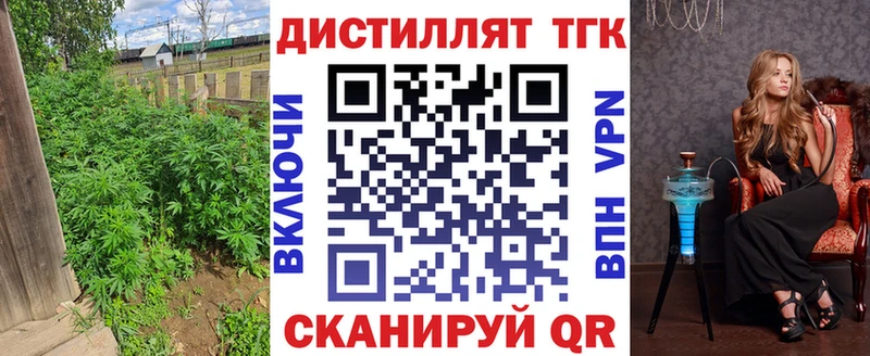 ТГК концентрат  Купить  Тогучин 